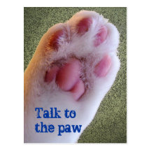 Talk to the Paw Postcard