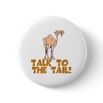 Talk to the Tail Camel Pin by doonidesigns