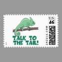 Talk to the Tail Lizzard Iguana