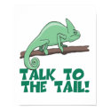 Talk to the Tail Lizzard Iguana posters