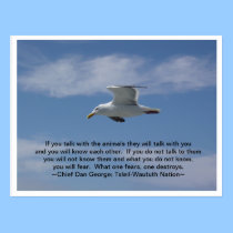 Talk With the Animals postcards