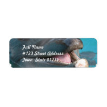 Talkative Dolphin Mailing Label