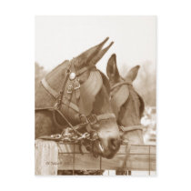 Talkin' It Over postcards by StarLily Talkin' It Over postcards