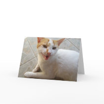 Talking cat greeting card by laly_sb Talking cat greeting card