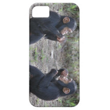 Talking Chimps iPhone Case iPhone 5 Case