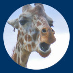 Talking Giraffe Sticker stickers