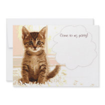 Talking kitten invitations