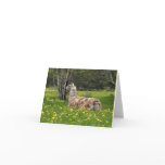 Talking Llama Cards