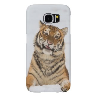 Talking Tiger Samsung Galaxy S6 Cases