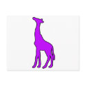 Tall African Giraffe Animal Silhouette Giraffidae postcards by inquester Tall African Giraffe Animal Silhouette Giraffidae postcards