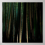 Tall Bamboo at Night. Print