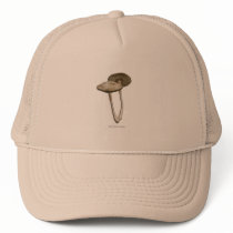 Tall Brown Mushrooms Hat