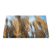 Tall Grass and blue Sky Gallery Wrapped Canvas