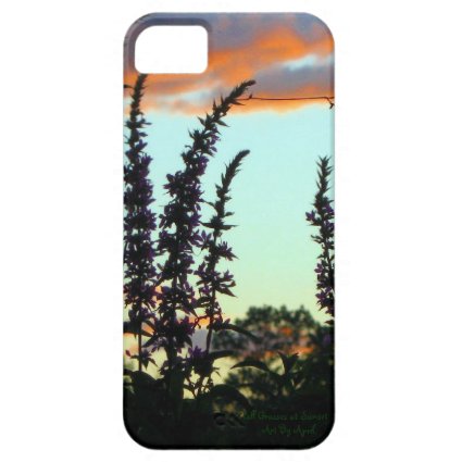 Tall Grasses at Sunset iPhone 5/5S Covers