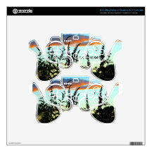 Tall Grasses at Sunset Playstation Skin Decal For PS3 Controller