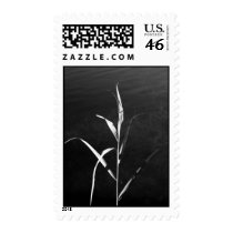 Tall Grasses stamps