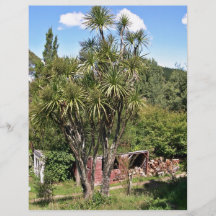 Tall green cabbage tree against the blue sky custom flyer