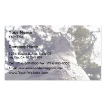 Tall Gum Tree With Insect In Porongurup Business Card Template