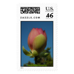 Tall Lotus Flower postage