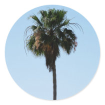 Tall Palm Tree stickers by Priscilla48 Tall Palm Tree stickers