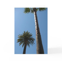 Tall Palm Trees Greeting Card by DonnaGrayson Tall Palm Trees Greeting Card