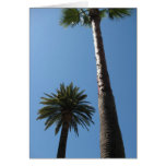 Tall Palm Trees Greeting Card