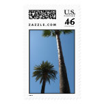 Tall Palm Trees Postage