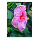 Tall Pink Flower Bud Card