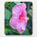 Tall Pink Flower Bud Mousepad