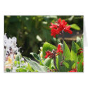 Tall Red Flower w/insert cards
