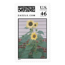 "TALL SUNFLOWERS" postage