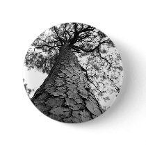 Tall Tree BW buttons by artpals Tall Tree BW buttons