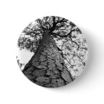 Tall Tree BW buttons
