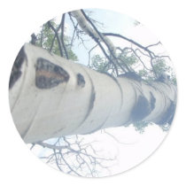Tall Tree stickers by pollop Tall Tree stickers
