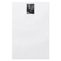 Tall Trees in Black and White. Personalized Flyer