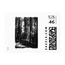 Tall Trees in Black and White. Postage Stamps