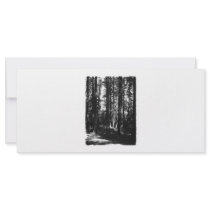 Tall Trees in Black and White. Customized Rack Card