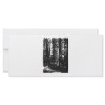 Tall Trees in Black and White. Customized Rack Card