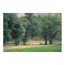 Tallahassee fields 1 posters