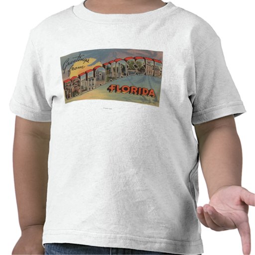 Tallahassee, Florida - Large Letter Scenes Tshirt