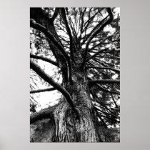 Taller Than You Think Poster