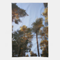 Tallest Trees kitchen Tea towel american mojo kitchen towels