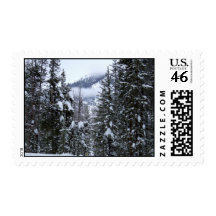 TallPines Stamps