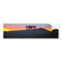 tam sunset, TAM bumper stickers by m_Nogueiro tam sunset, TAM bumper stickers