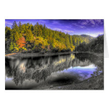 Tam Tree Reflection Card