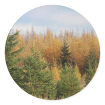 Tamarack And Spruce stickers by nmpics Tamarack And Spruce stickers