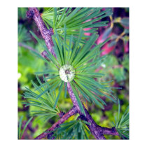 Tamarack Larch Foliage 3 Poster posters by CreatureCreations Tamarack Larch Foliage 3 Poster posters