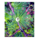 Tamarack Larch Foliage 3 Poster