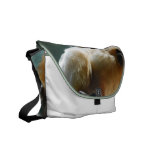 Tamarin Messenger Bag