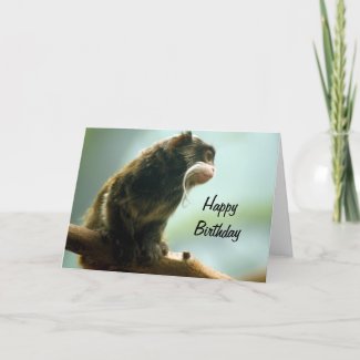 Tamarin Monkey Birthday Card card